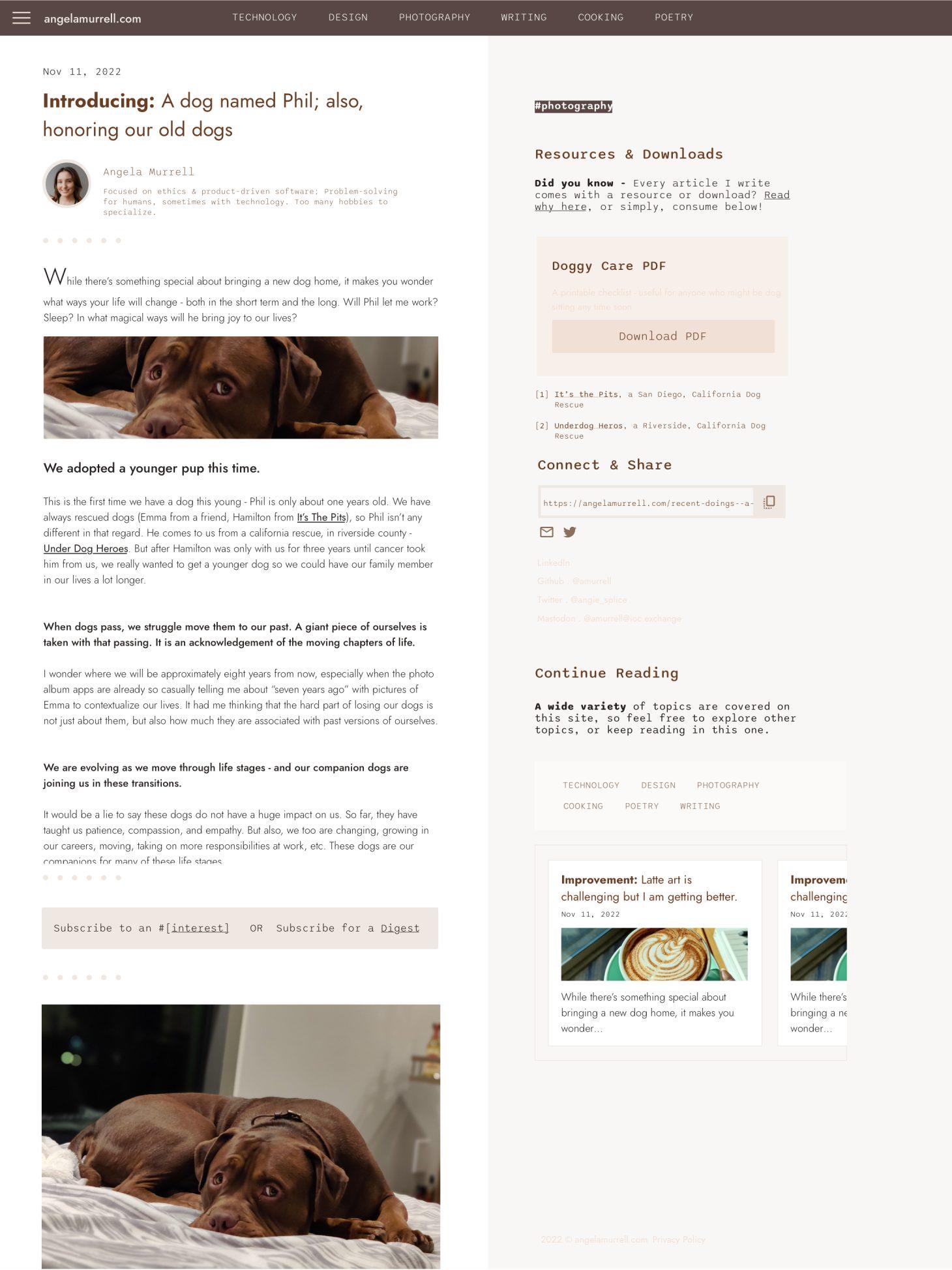 Screenshot of the first design of posts when I set out to design the site. I started with a sample of an article about my new dog Phil at the time, but did not finish the whole thing.